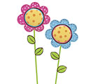 Silk Flowers